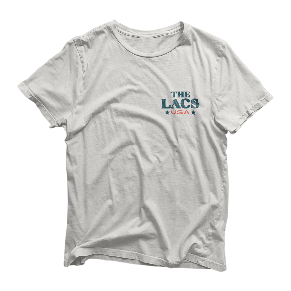 Abe Lincoln T-Shirt